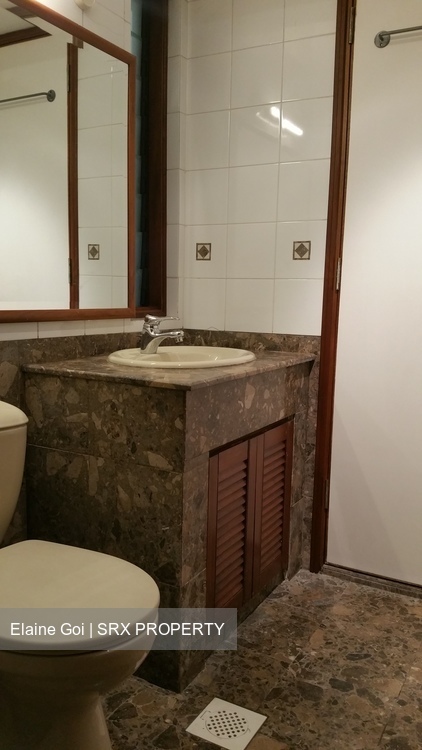 Holland Road (D10), Apartment #211844321